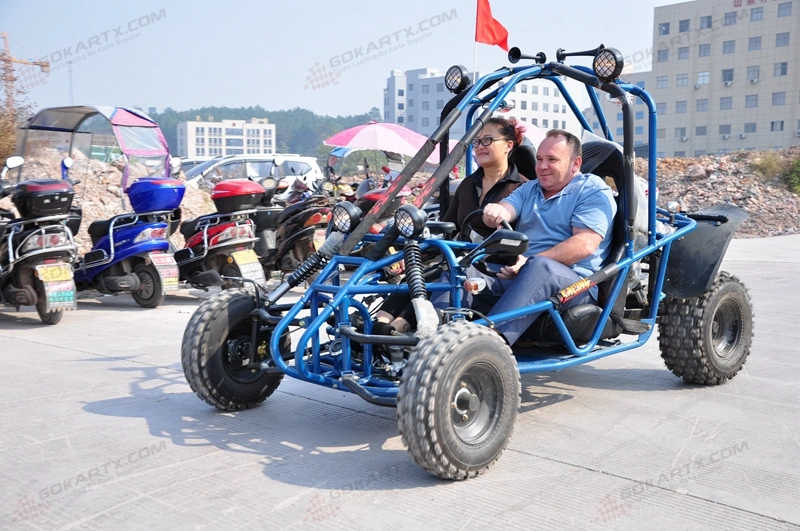 Wholesale China Dune Buggy Factory 250cc Petrol Used Gas Cross Go Kart on 2 Seater