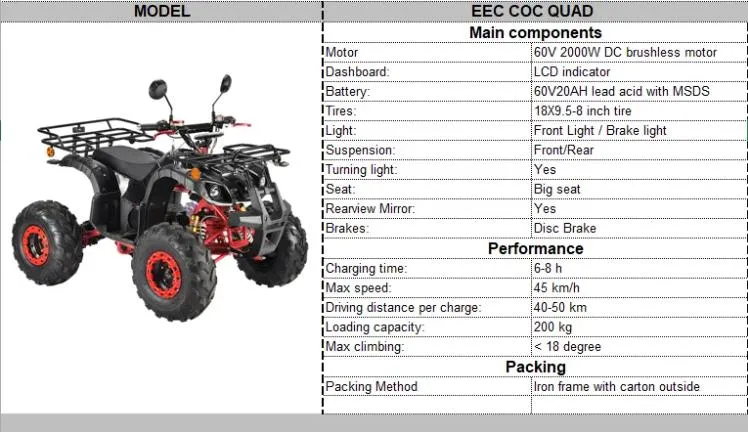 EEC Coc Quad Moped Powerful Lithium Battery 2000W Skateboard Mobility Scooter 4-Wheel Electric ATV