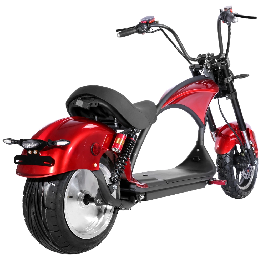 1000W City Coco Two Wheel Fat Wheel Offroad Scooter Electric