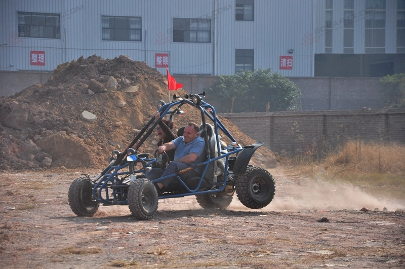 Wholesale China Dune Buggy Factory 250cc Petrol Used Gas Cross Go Kart on 2 Seater