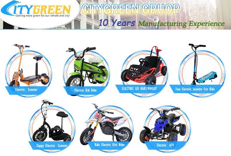 Cheap Racing Electric Go Kart for Sale (TBQ01)