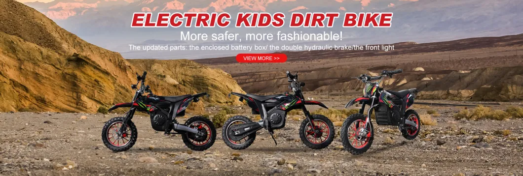 36V 800W 13ah Lithium Electric Dirt Bike Kids Motorcross Mini Pitbike