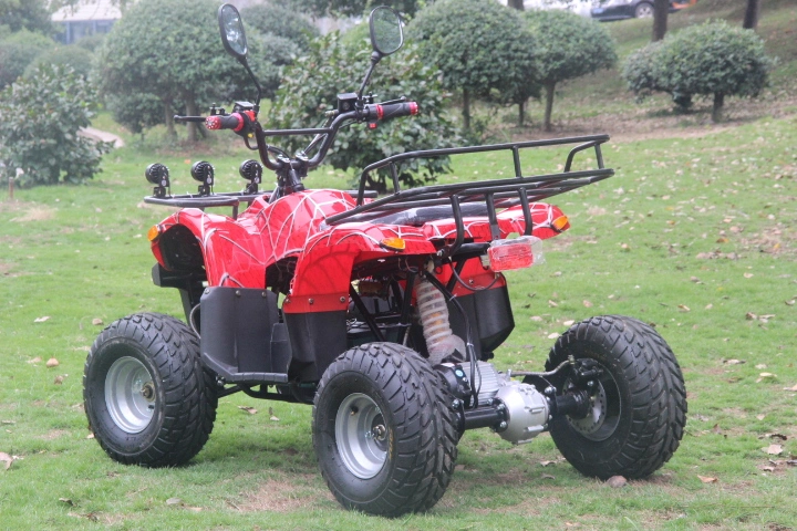 Trade Shows China110cc Motorcycles 125cc Gas Powered Four Wheeler Atvs Quad Bike