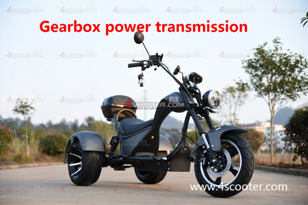 New Generation Tri-Wheels Electric Chopper with 2 Rear Wheels Drive Electric Fast Scooter