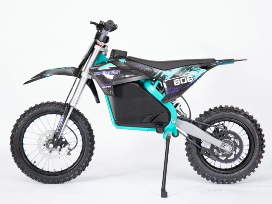 1600W 2000W Electric Pit Bike Electric Dirt Bike for Kids or Adults