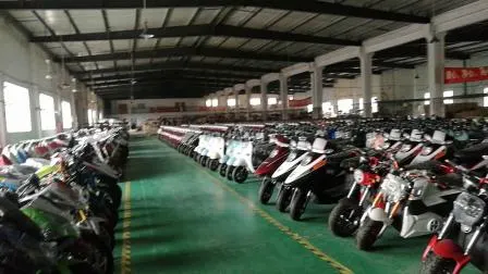 CE City Coco Electric Harley Electrical Scooter 60V 20A 1500W