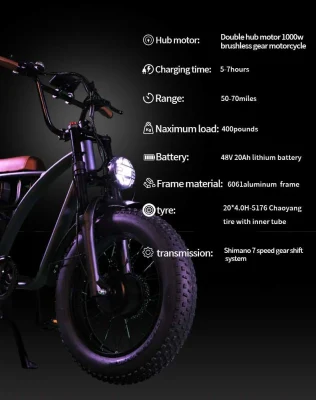 Electric Bicycle High Quality 20 Inch Dual Hub 1000W Motor, 20