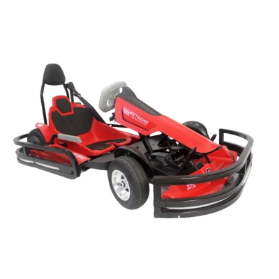 K9-2 Max 35km/H Electric Power Go Karting Car 450W Racing Go Karts for Sale