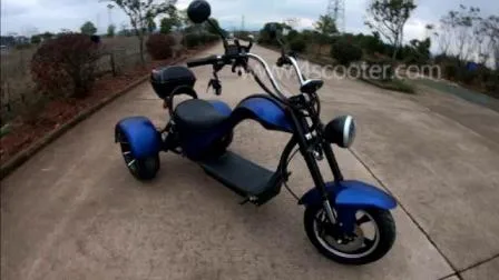 New Generation Tri-Wheels Electric Chopper with 2 Rear Wheels Drive Electric Fast Scooter