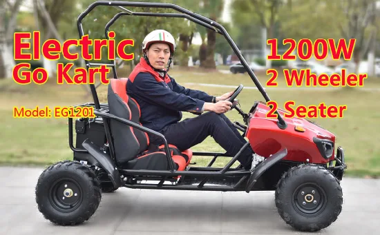 Free Shipping Cheap Price off-Road Racing Electric Fast Car Go Kart for Sale