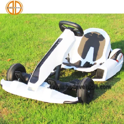 New Ninebot Mini Scooter Electric Scooter Racing Go Kart