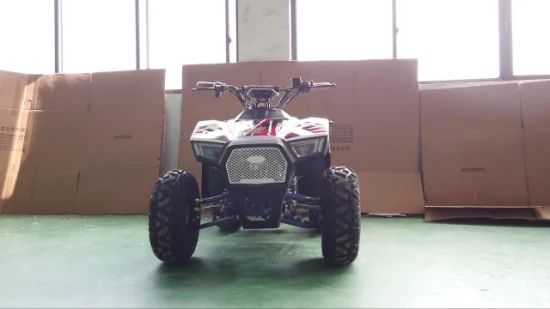 Wholesale Quad ATV 125cc Four Wheel ATV Electric Motorcycle All Terrain off-Road Bike Mountain Bike Customizable