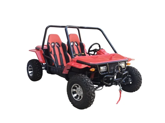 Gas Go Kart 200cc Adult Automatic Dune Buggy Go Kart Hot Sale