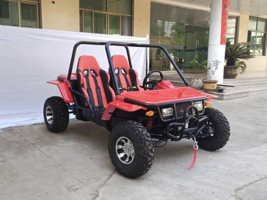 200cc Petrol off Road Karting Adult Big Toy Go Kart for Sale