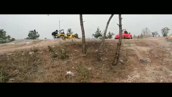 Suyang Best 125/150cc Gas Mini Beetle Four Wheeler ATV Quad Bike